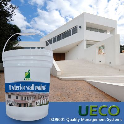 Organic Silicon Wall Paint/Emulsion Paint